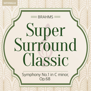 Brahms: Symphony No.4 in e minor, Op.98 - IV. Allegro energico e passionato (Surround Sound)