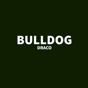 Bulldog
