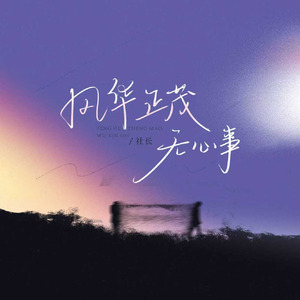 风华正茂无心事