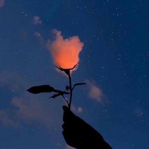 反话教学指南（Prod.By 97Yirus)