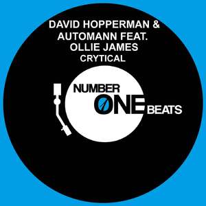 Crytical (Nick Waters & Stephane Karl Remix) [Feat. Ollie James]