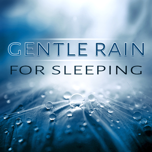Wellnes (Music for Sleeping)