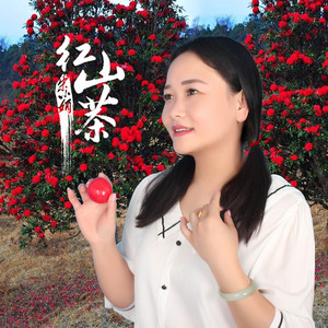 红山茶