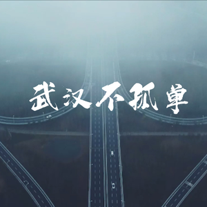武汉不孤单