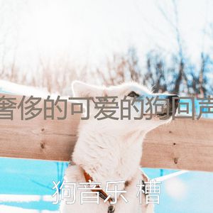 温和训练你的狗梦想