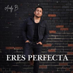 Eres perfecta