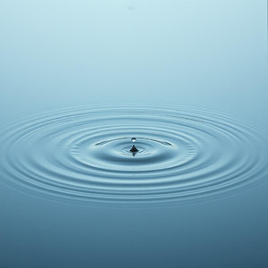 夜の風が揺らす影