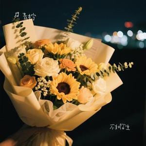 不如陌生 (Cover 杨友友)