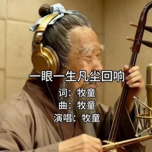 一眼一生凡尘回响