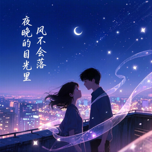 夜晚的目光里风不会落
