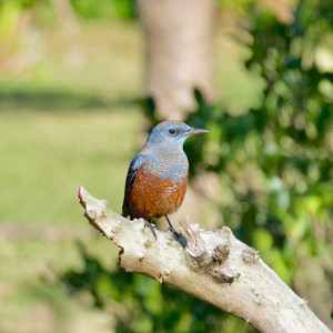生きているということは