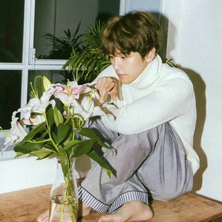 越冬深情 | 在寂寞时光里写长信