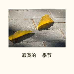 寂寞的季节（指弹吉他版）