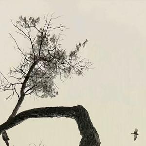 占有欲（Speed up ）