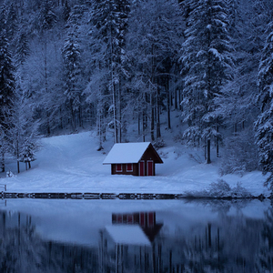 Colder Weather