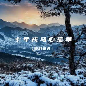 十年戎马心孤单