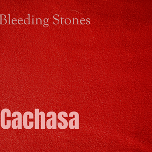 Cachasa