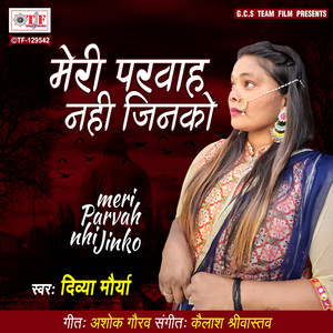 Meri Parwah Nahi Jinko