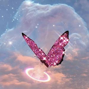 【已售】Space Style