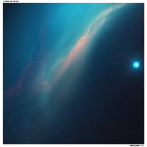 S t o n e I n F o c u s