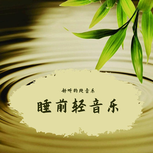 伤感的轻音乐-过去的爱