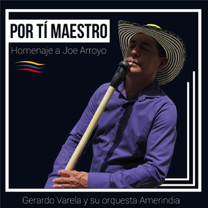 Descarga Amerindia