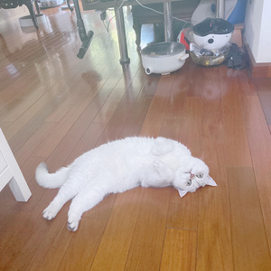 好想好想 20230509