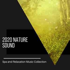 Always Shine in Rain