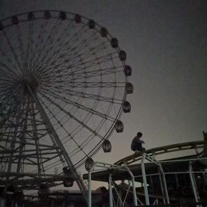 没有小鸟的花园