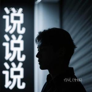 你说  (女版)