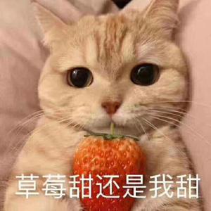 万有引力