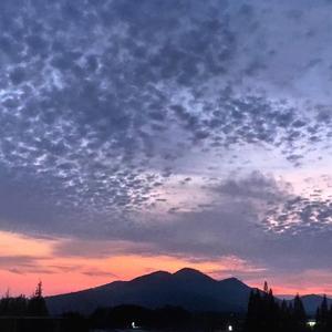 为梁山头的铁板烧店老板写的歌——Cover贺铭洋