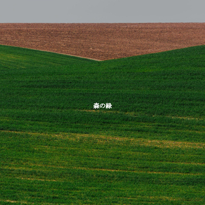 Contemporary Music for Free Suites