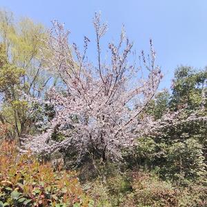 求你不要离弃我