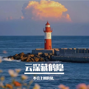 林叶漏星光