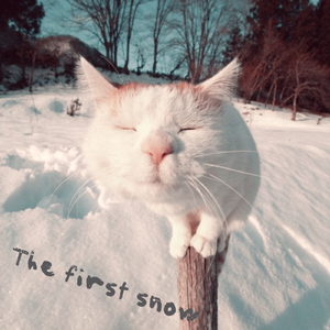 The first snow