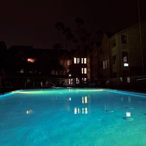 What You Want! (feat. Bdr!ppyy)