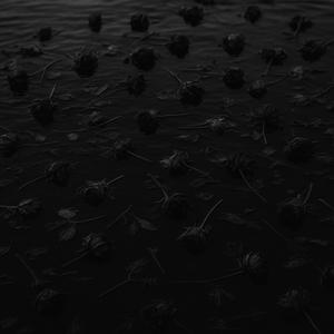 как мой сон