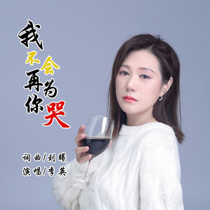 我不会再为你哭