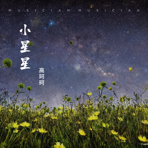 小星星(吉他男版)