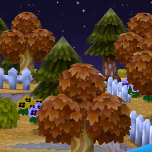 秋日的最后一片落叶