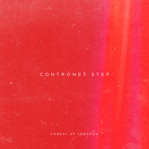 Contronet Step