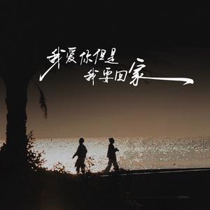 我爱你但是我要回家•2025