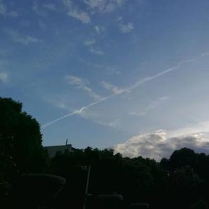 约会在星期天晚上