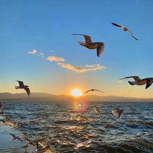 神木与瞳-为你而活（DJ张新翼 remix）