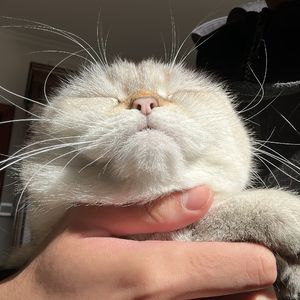 奇观（cover：单依纯）