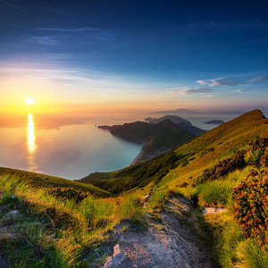 Unidad De Movimiento Rítmico