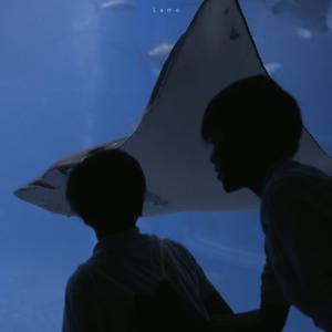 一生所爱（钢琴）
