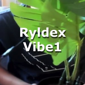 Ryldexvibes1