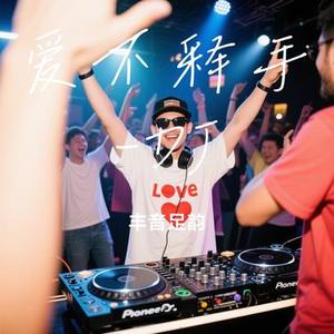 爱不释手-DJ (Cover 李丽芬)